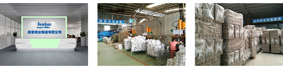 森宝服务台，纸托生产工艺及生产设备